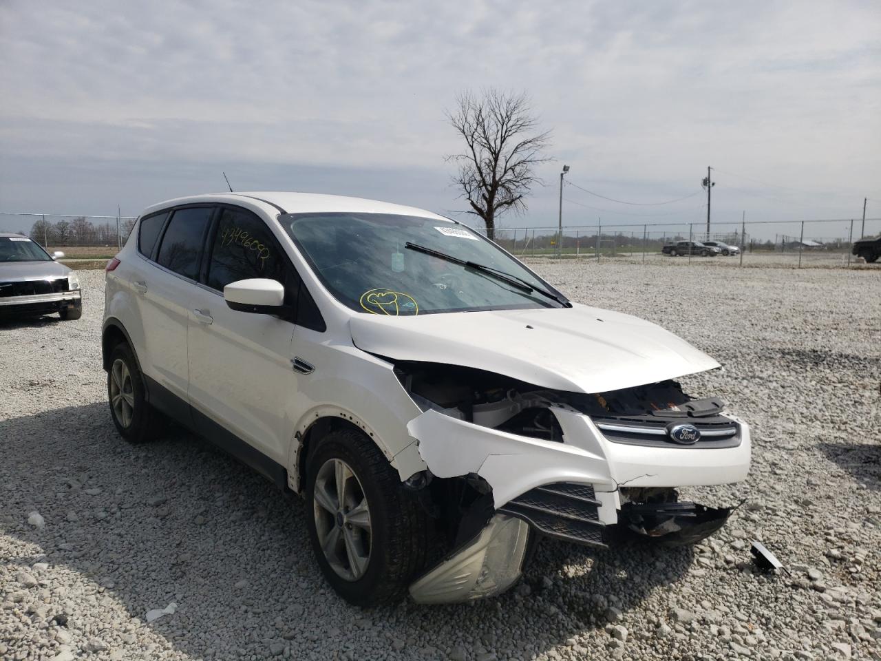 FORD ESCAPE SE 2013 with VIN 1FMCU0GX5DUC68847 - Photo from auction