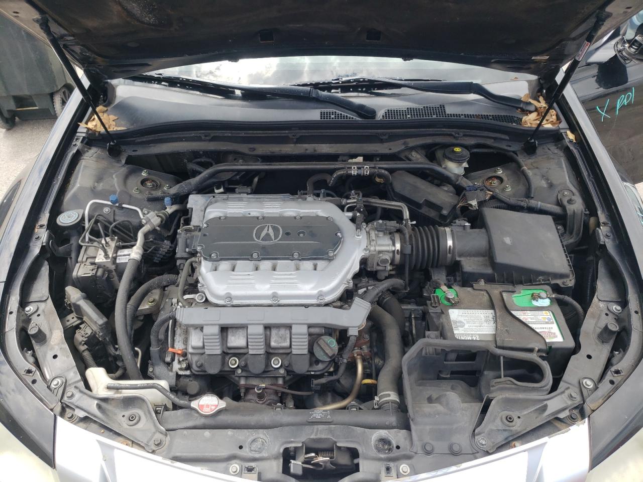 Photo 7 from auction – 2010 ACURA TL with VIN 19UUA8F51AA008363