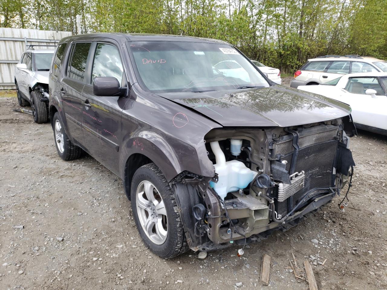 HONDA PILOT EXL 2013 with VIN 5FNYF4H53DB036135 - Photo from auction