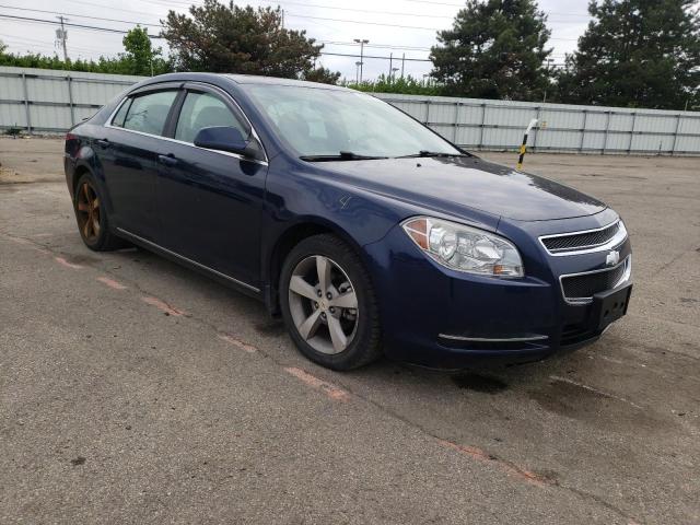 CHEVROLET MALIBU 1LT 2011 with VIN 1G1ZC5E13BF316465 - Photo from auction