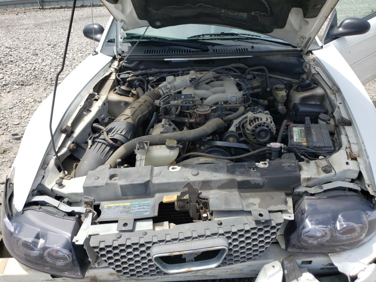 Photo 7 from auction – 2003 FORD MUSTANG with VIN 1FAFP40433F411013