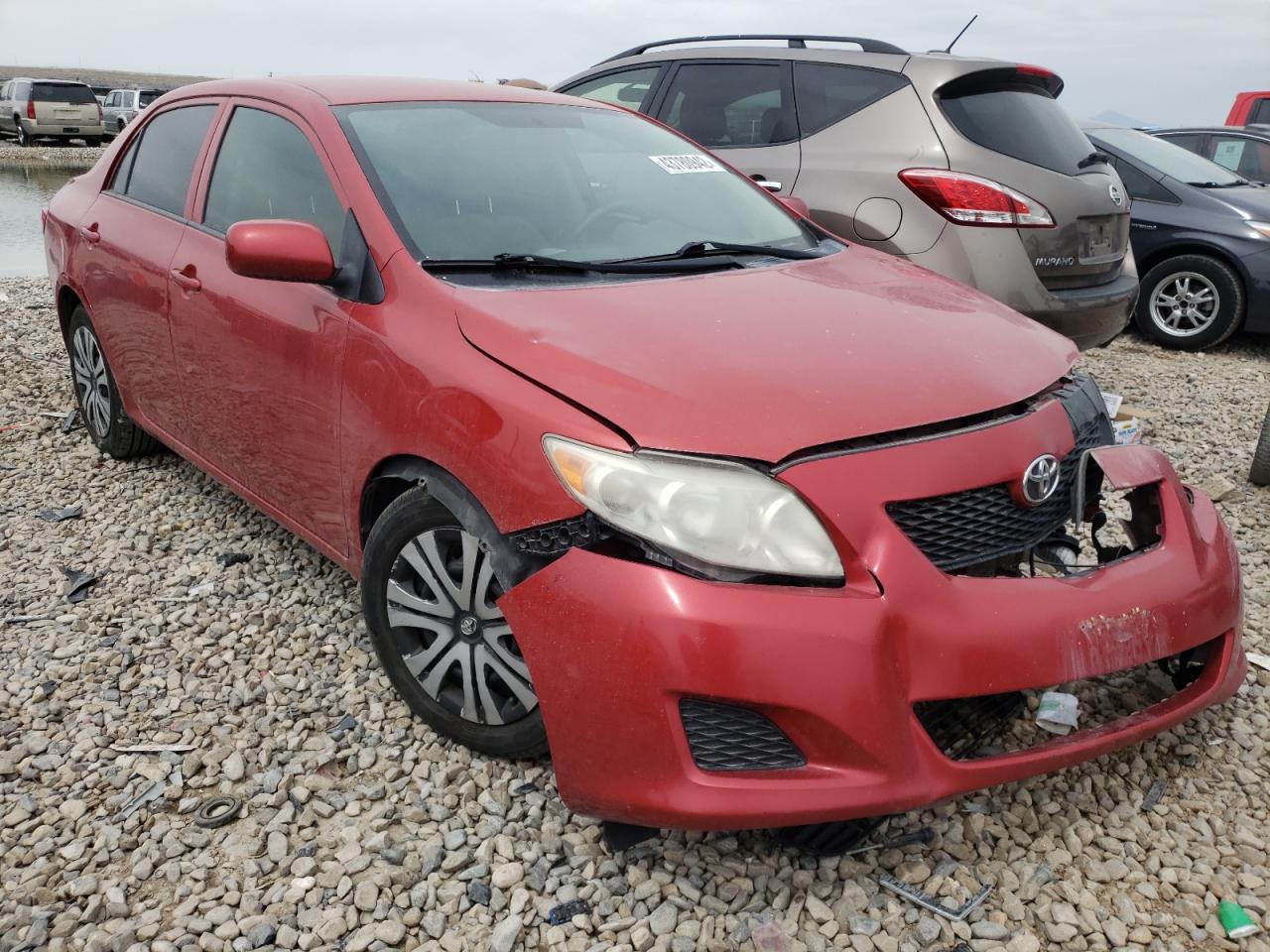 TOYOTA COROLLA BA 2010 with VIN 1NXBU4EE3AZ307855 - Photo from auction