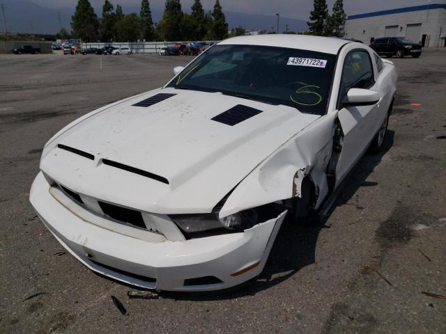 Photo 2 from auction – 2011 FORD MUSTANG with VIN 1ZVBP8AM2B5157620