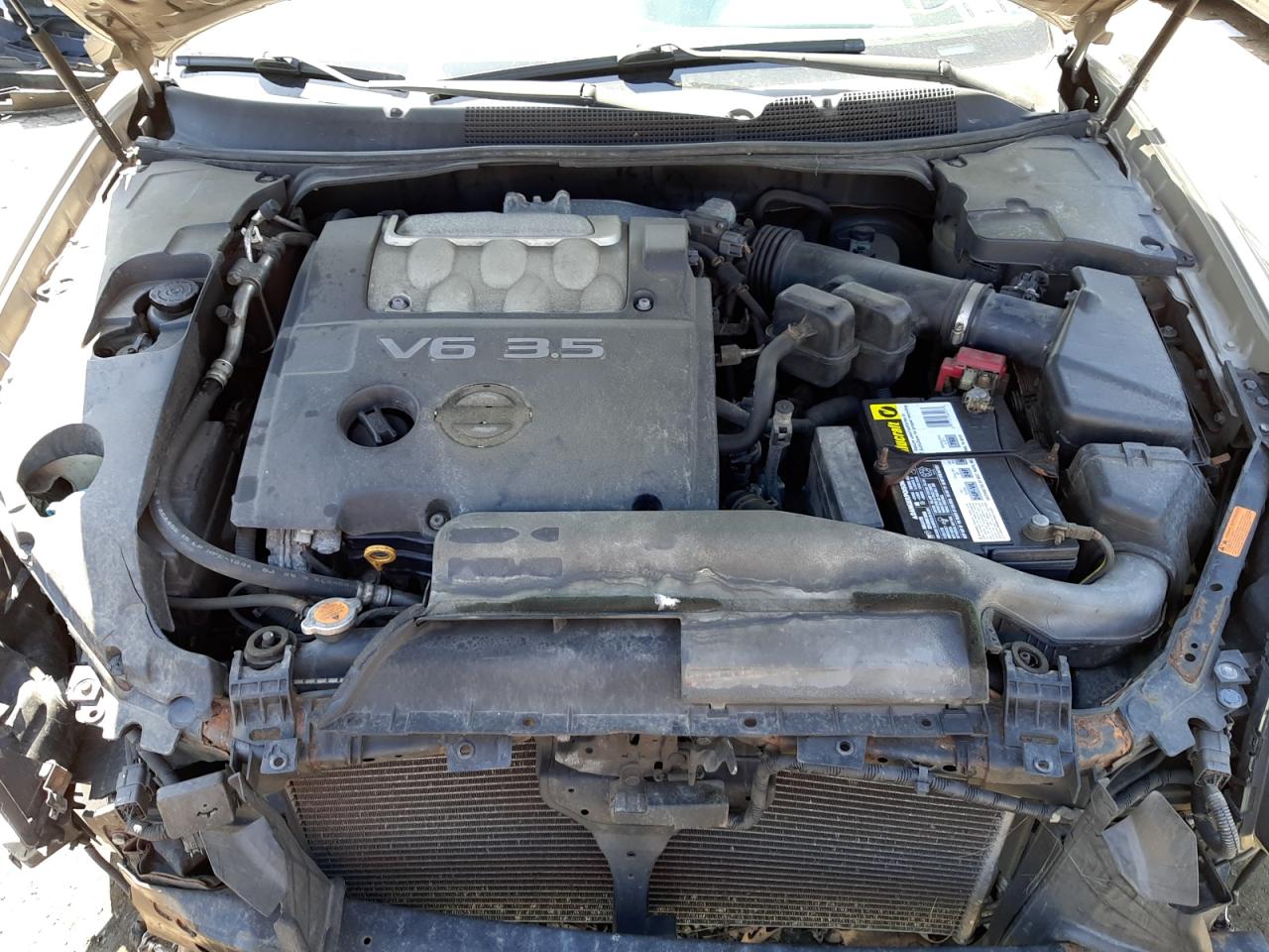 Photo 7 from auction – 2008 NISSAN MAXIMA SE with VIN 1N4BA41E38C818037