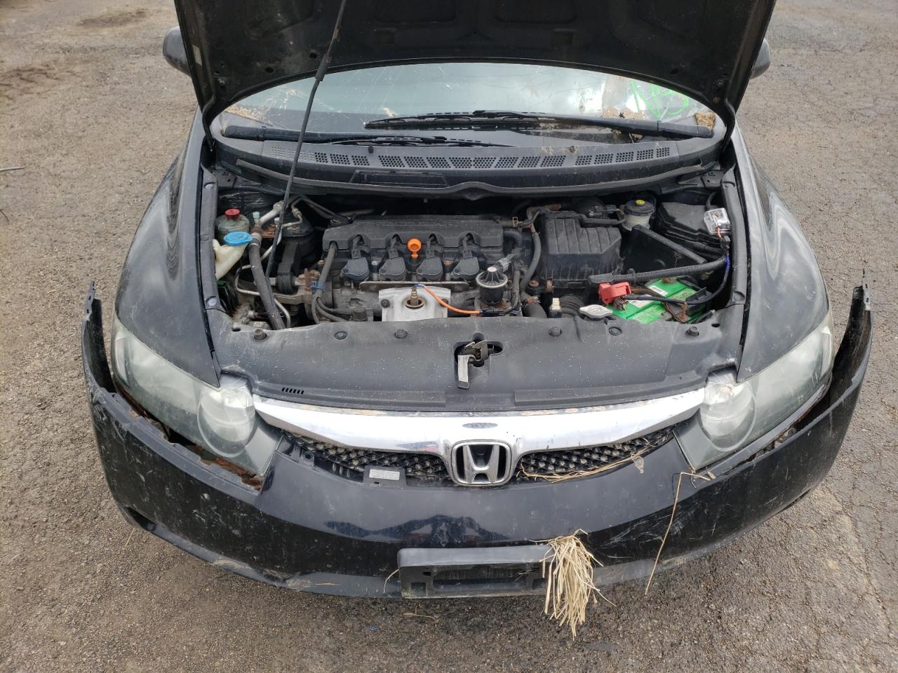 Photo 7 from auction – 2010 HONDA CIVIC LX with VIN 19XFA1F58AE038875