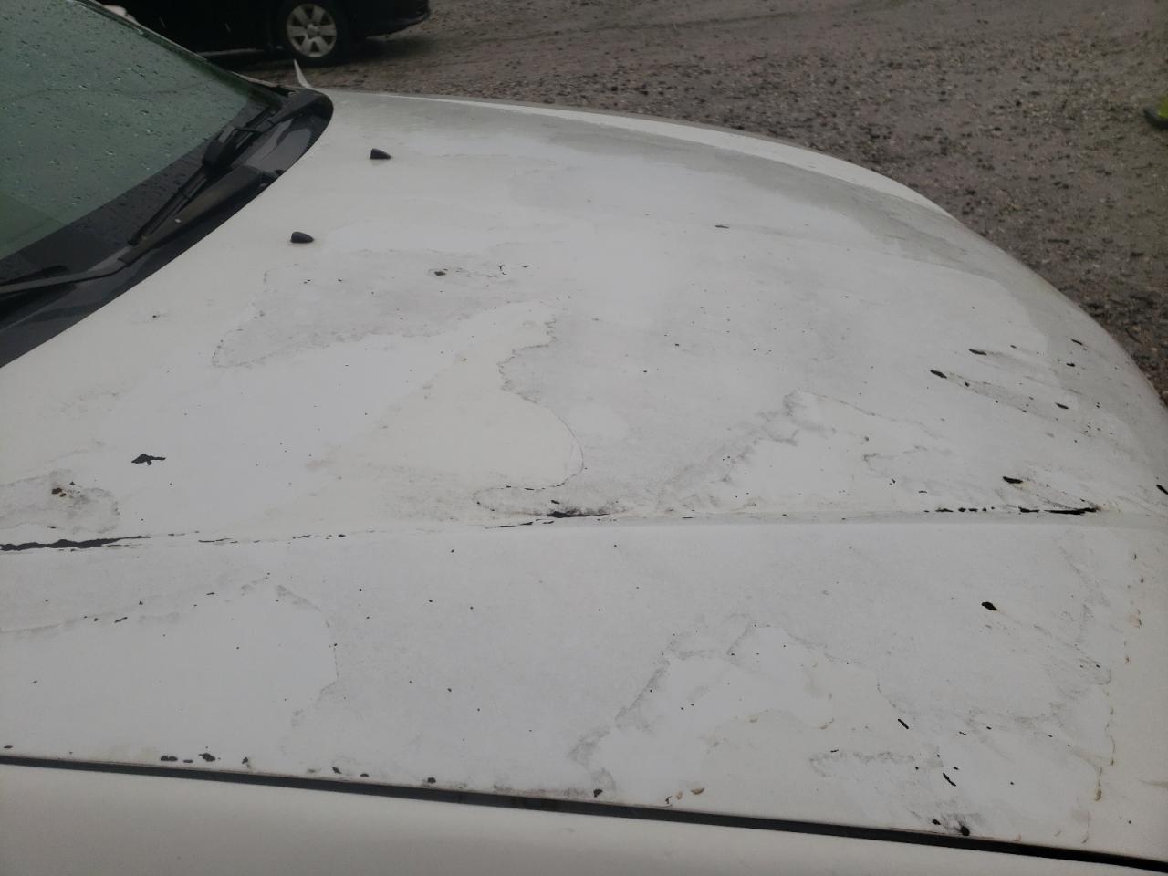 Photo 9 from auction – 2002 MAZDA PROTEGE DX with VIN JM1BJ225420558673