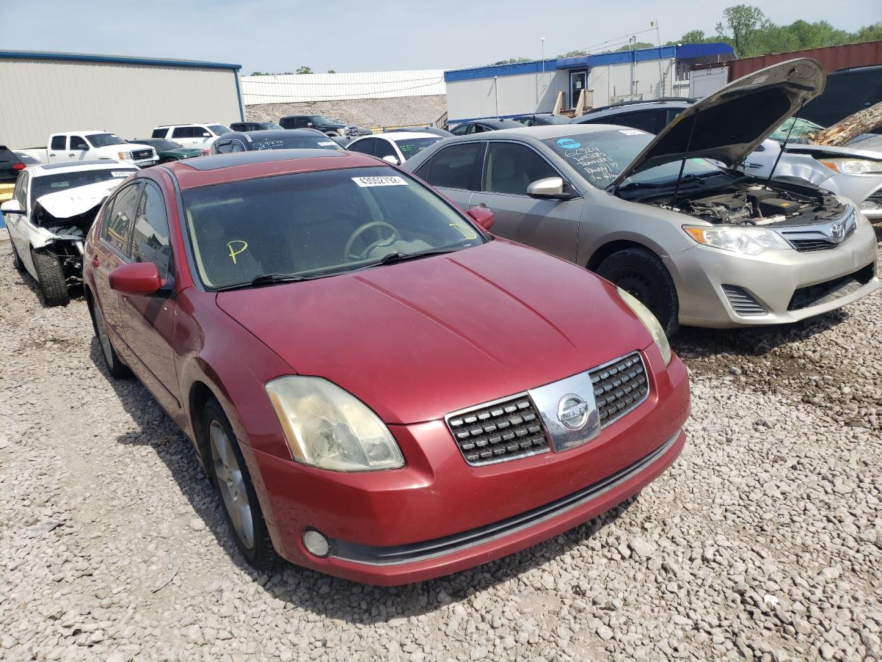 NISSAN MAXIMA SE 2004 with VIN 1N4BA41E84C802202 - Photo from auction