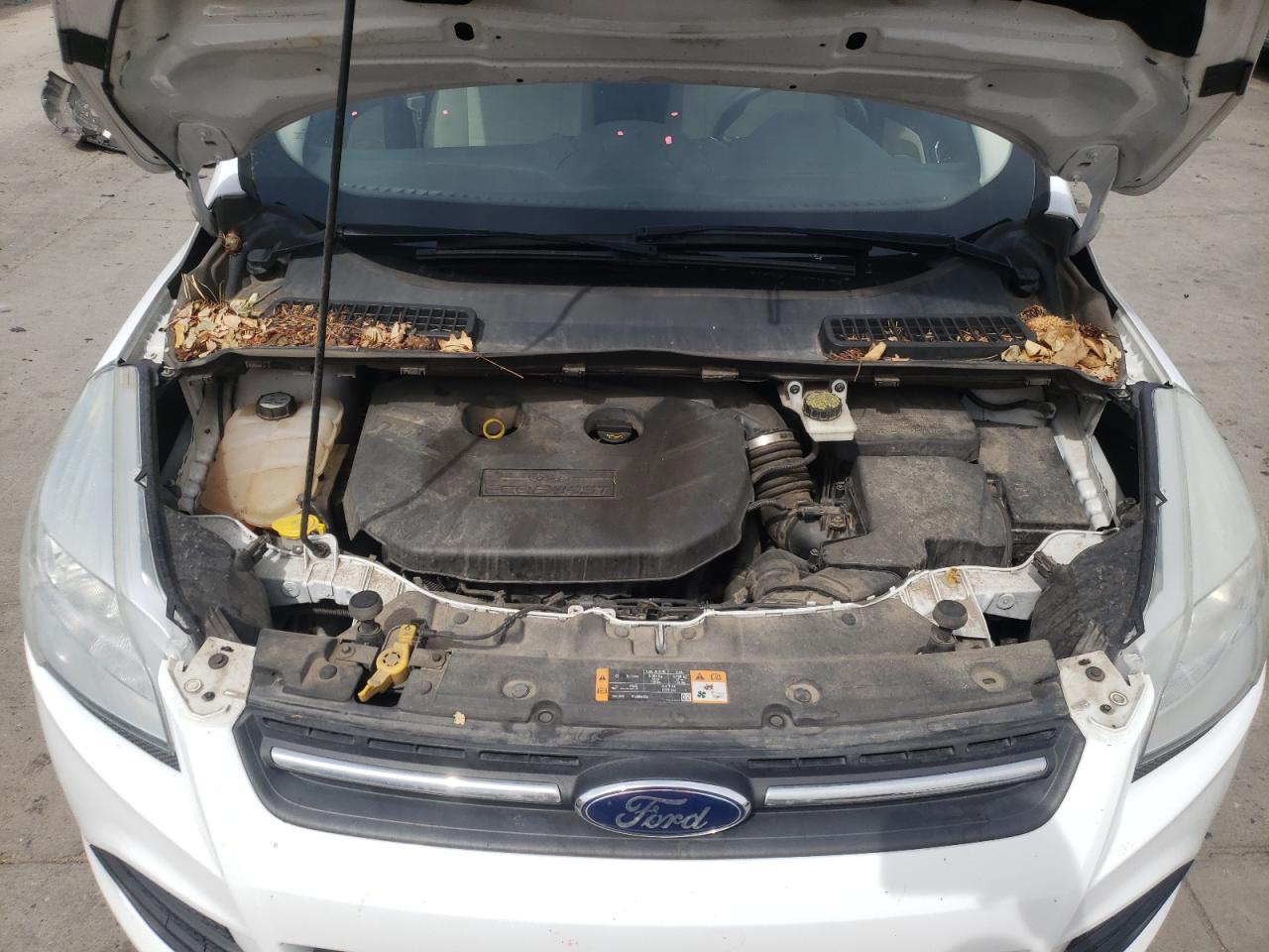Photo 7 from auction – 2013 FORD ESCAPE SE with VIN 1FMCU9G9XDUD80517