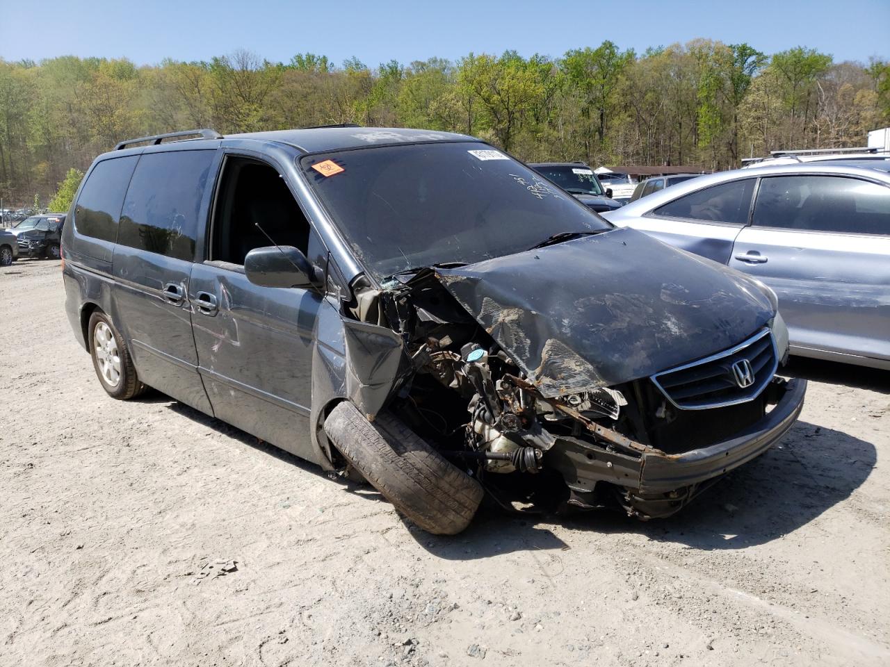 HONDA ODYSSEY EX 2003 with VIN 5FNRL18923B062559 - Photo from auction