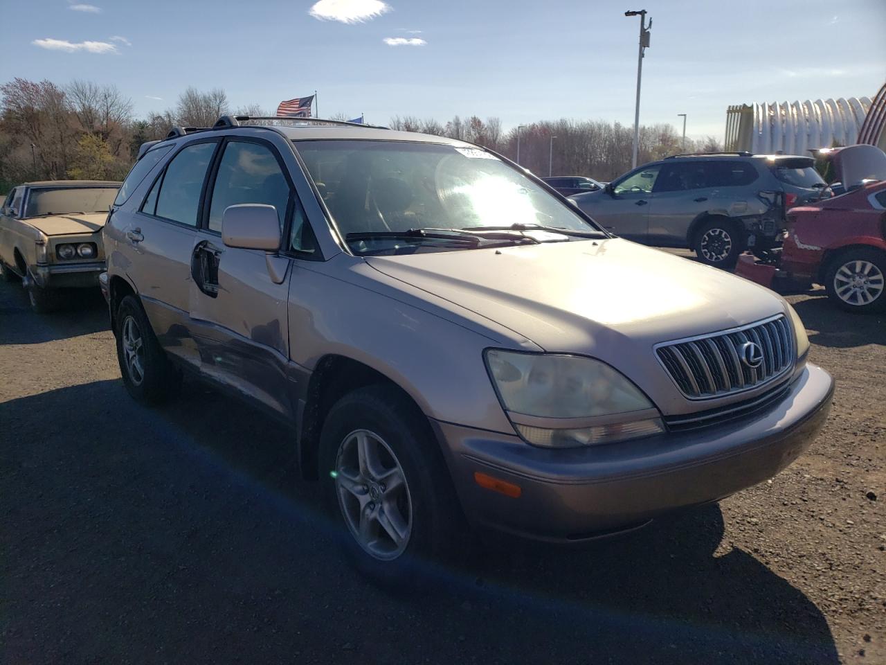 LEXUS RX 300 2001 with VIN JTJHF10U810171989 - Photo from auction