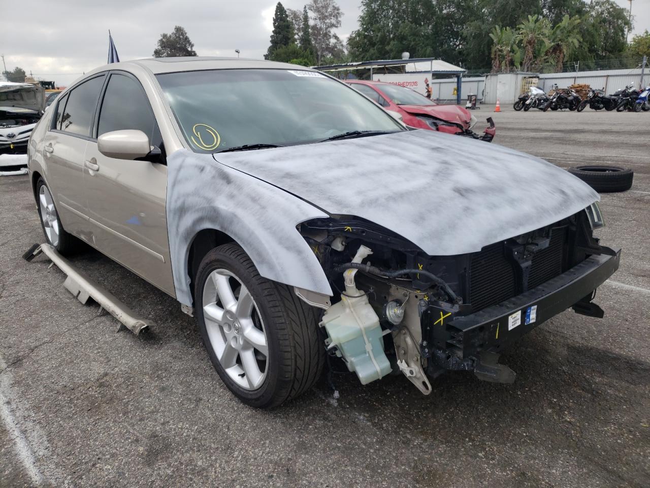 NISSAN MAXIMA SE 2006 with VIN 1N4BA41E96C861049 - Photo from auction