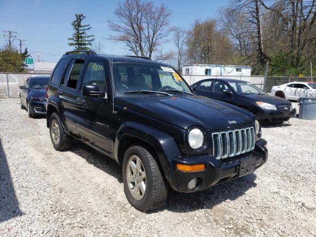 JEEP LIBERTY LI 2003 with VIN 1J8GL58K73W593164 - Photo from auction