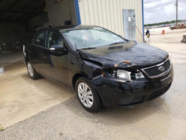 KIA FORTE EX 2010 with VIN KNAFU4A20A5051991 - Photo from auction