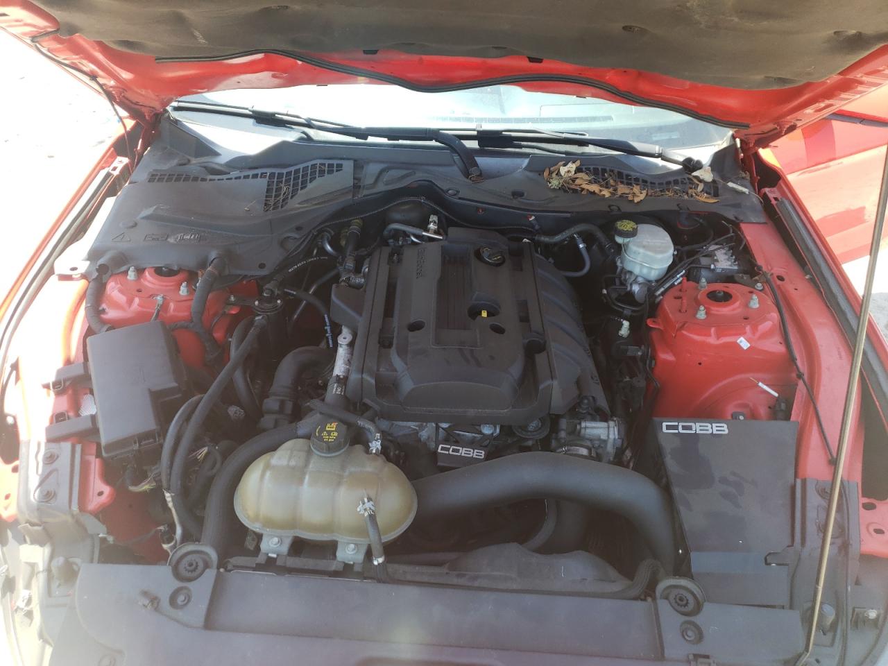 Photo 7 from auction – 2015 FORD MUSTANG with VIN 1FA6P8TH7F5308239