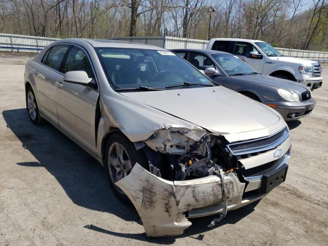 CHEVROLET MALIBU 1LT 2010 with VIN 1G1ZC5EB2AF218289 - Photo from auction