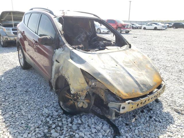 FORD ESCAPE SE 2014 with VIN 1FMCU0GX9EUB26289 - Photo from auction