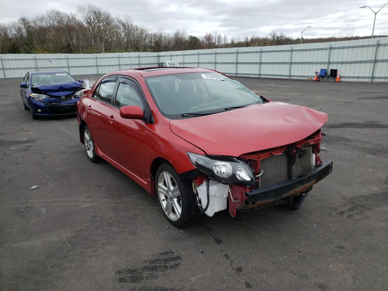 TOYOTA COROLLA XR 2009 with VIN 2T1BE40E89C026121 - Photo from auction