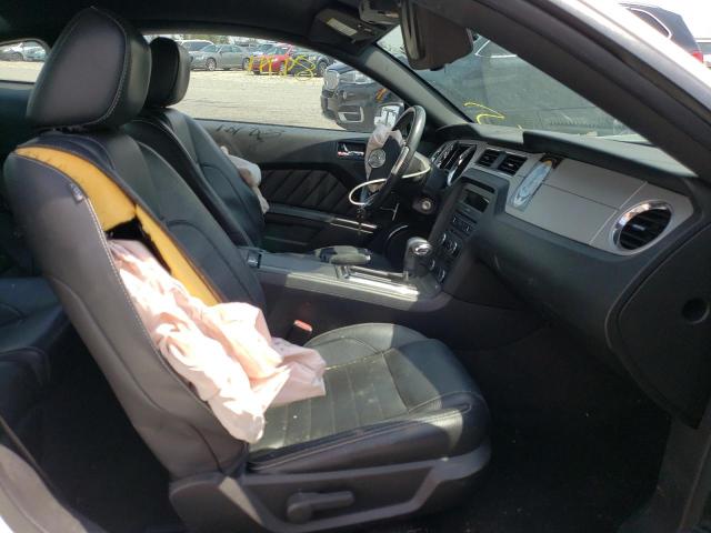 Photo 5 from auction – 2011 FORD MUSTANG with VIN 1ZVBP8AM2B5157620