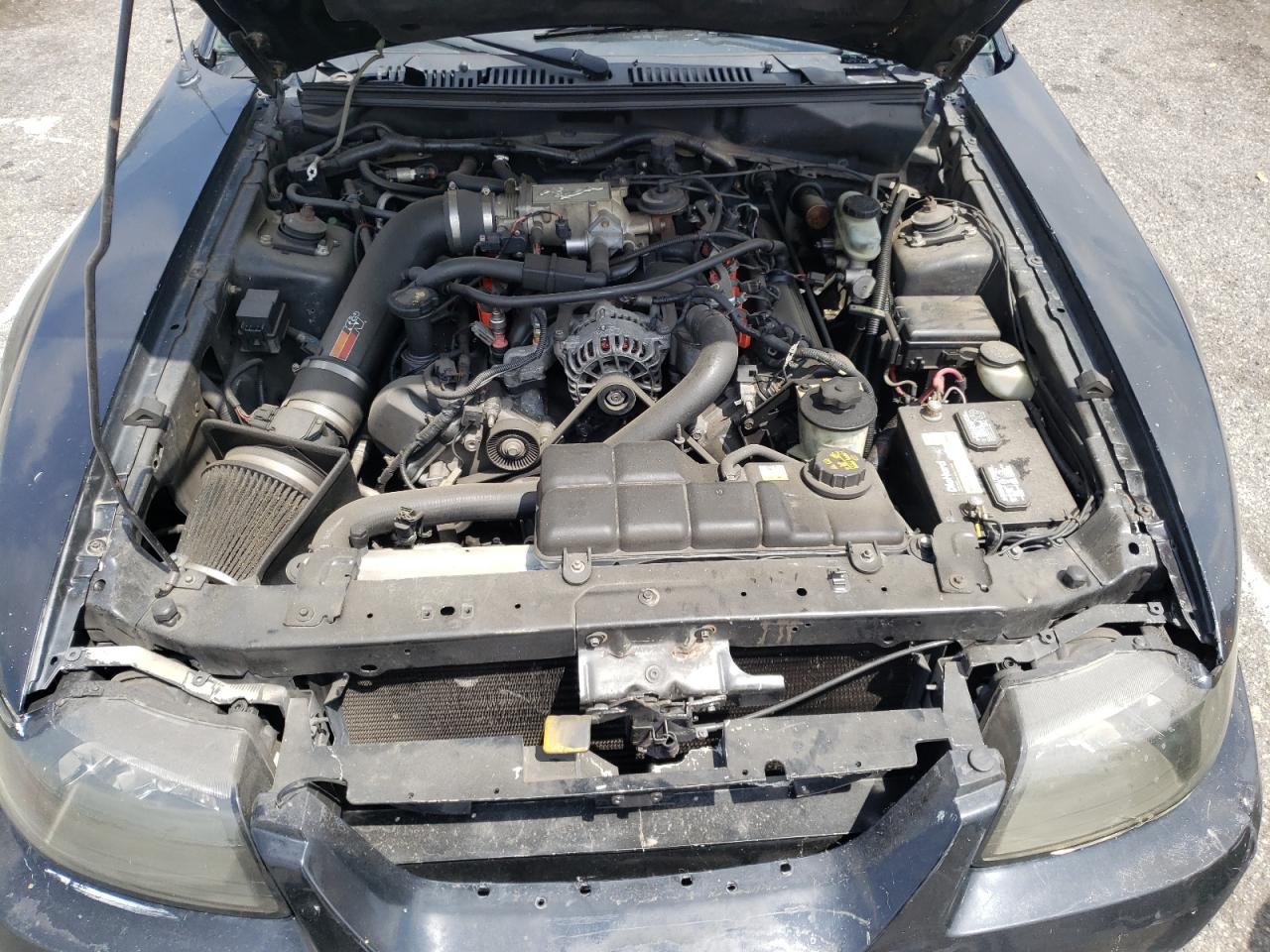 Photo 7 from auction – 2003 FORD MUSTANG GT with VIN 1FAFP42X93F308282