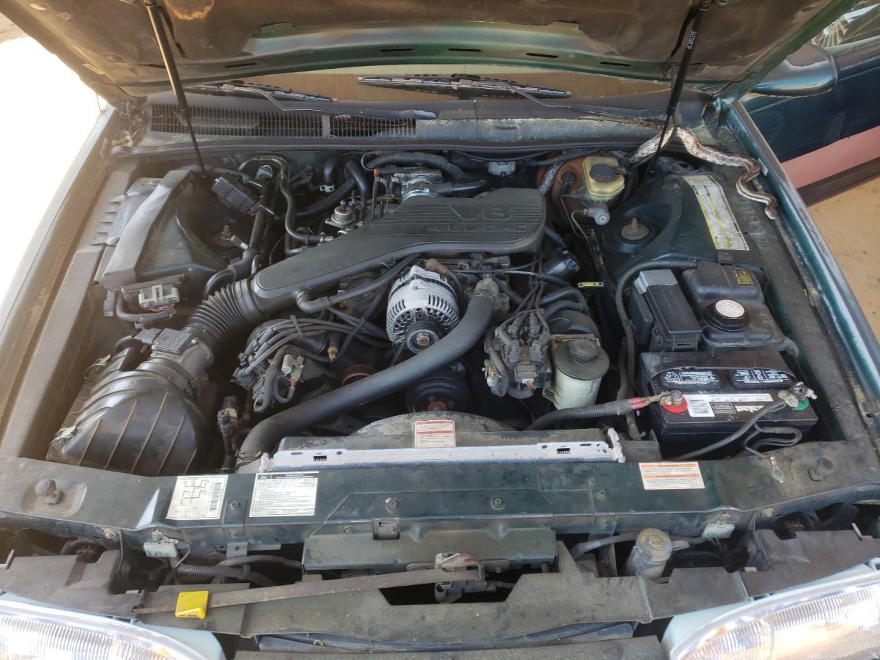Photo 7 from auction – 1995 FORD THUNDERBIR with VIN 1FALP62W5SH207958