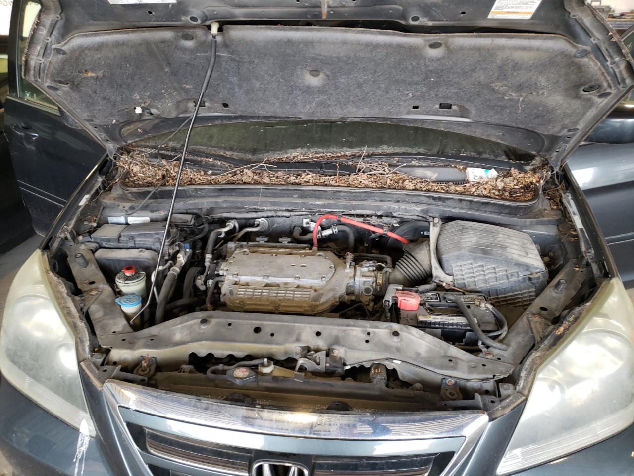 Photo 7 from auction – 2005 HONDA ODYSSEY EX with VIN 5FNRL387X5B081504