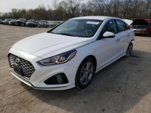 HYUNDAI SONATA LIM 2019 with VIN 5NPE34AF7KH770208 - Photo from auction