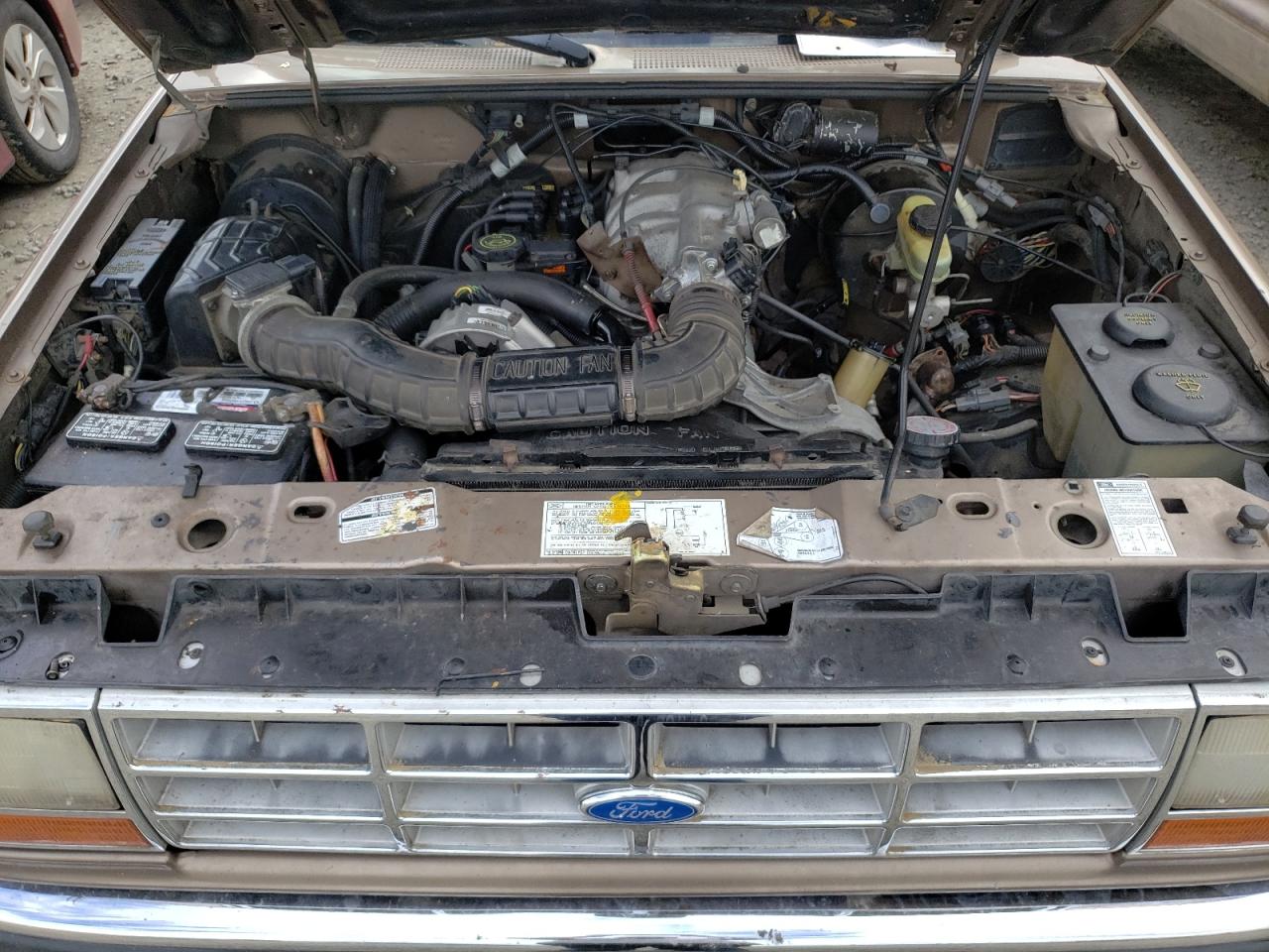 Photo 7 from auction – 1991 FORD RANGER SUP with VIN 1FTCR14X2MPB01148