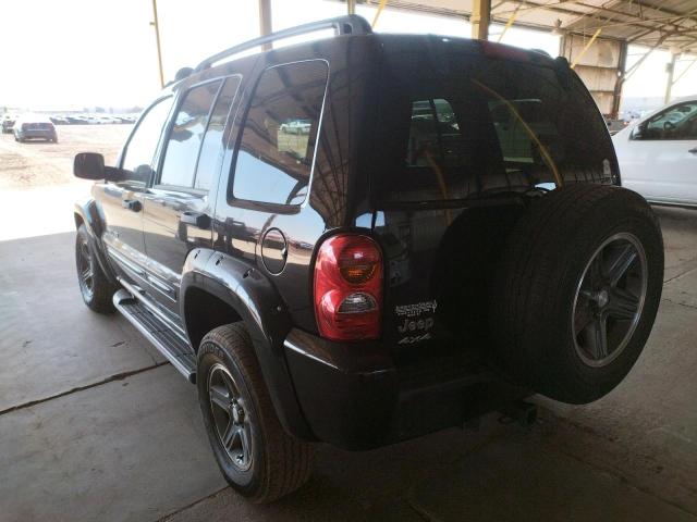 Photo 3 from auction – 2003 JEEP LIBERTY RE with VIN 1J4GL38K93W713052
