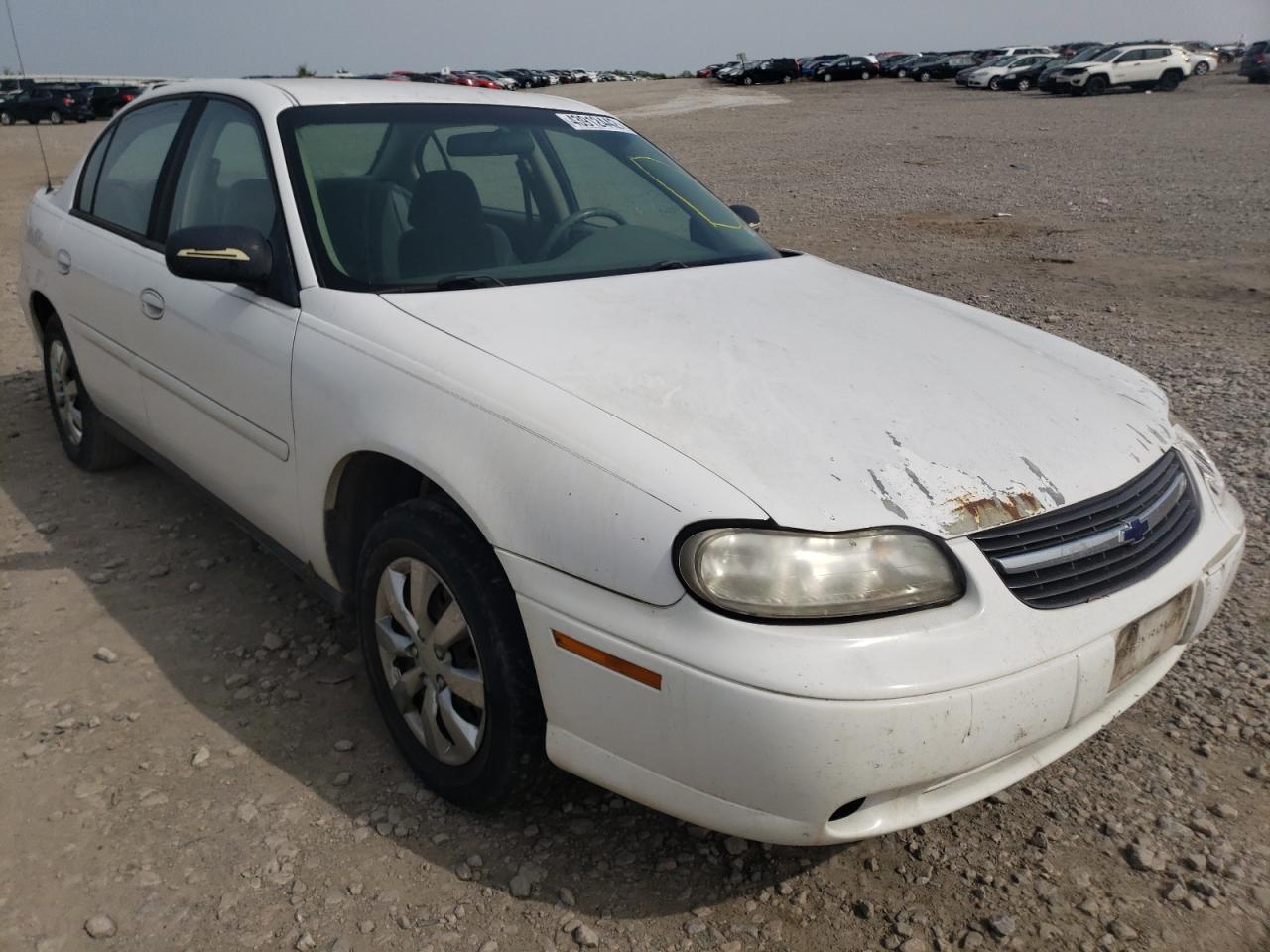 CHEVROLET CLASSIC 2004 with VIN 1G1ND52F44M525028 - Photo from auction