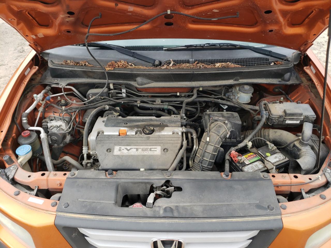 Photo 7 from auction – 2007 HONDA ELEMENT EX with VIN 5J6YH28757L008834