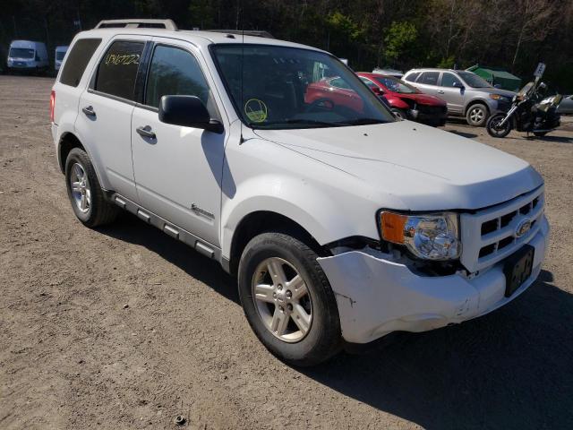 FORD ESCAPE HYB 2010 with VIN 1FMCU5K37AKD40561 - Photo from auction