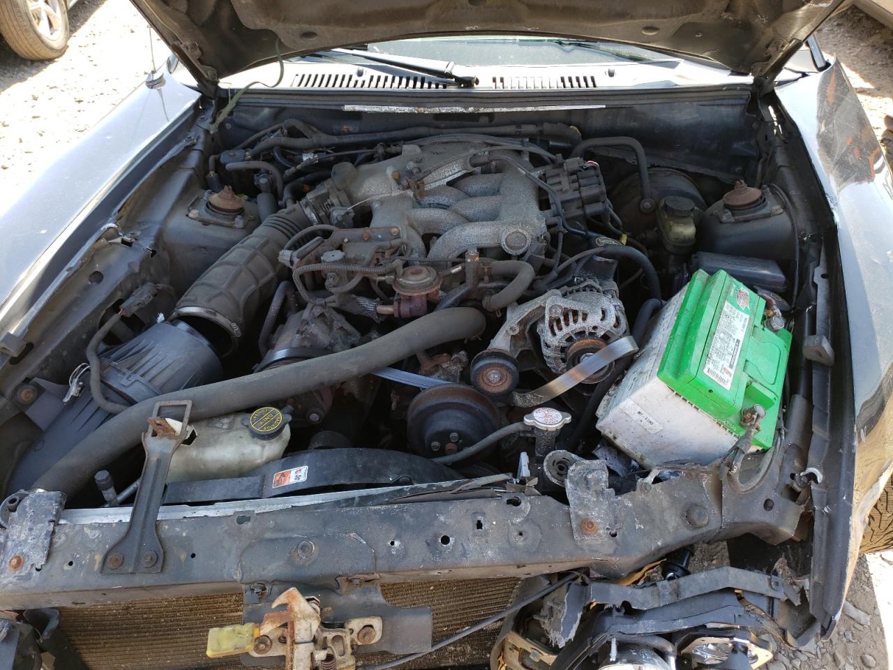 Photo 7 from auction – 2003 FORD MUSTANG with VIN 1FAFP40433F441175