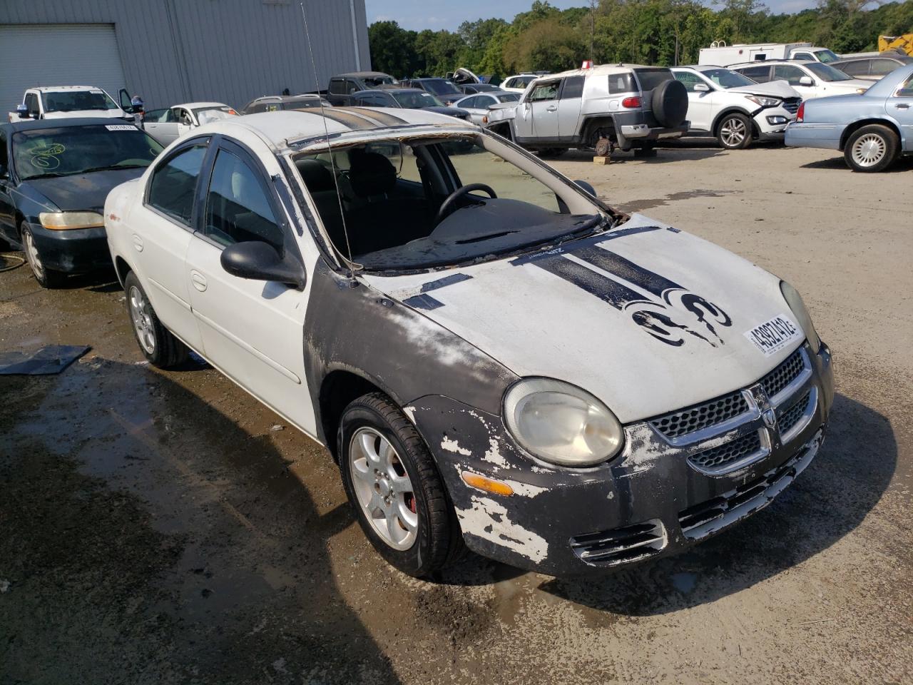 DODGE NEON SXT 2005 with VIN 1B3ES56C65D246177 - Photo from auction