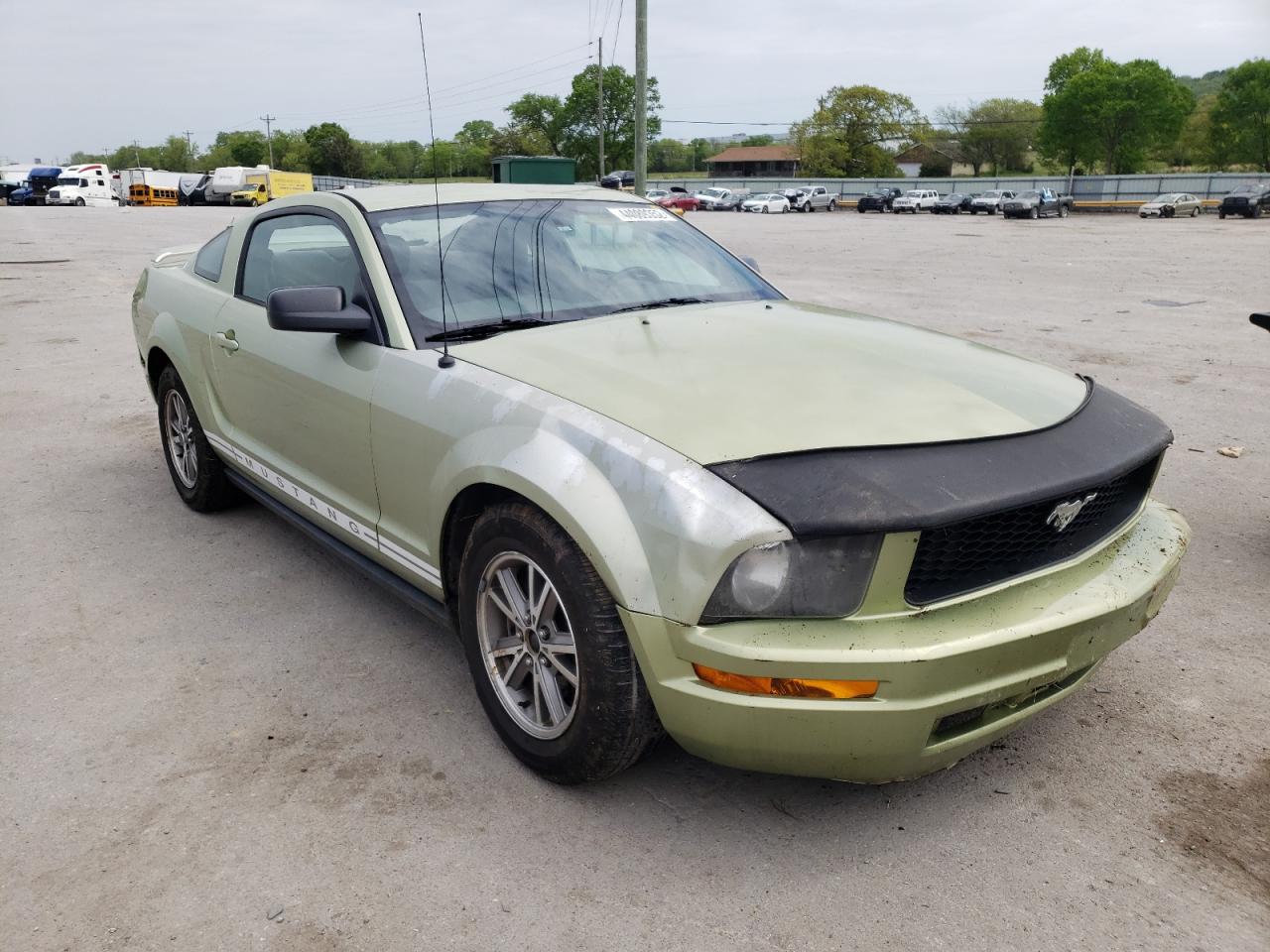 FORD MUSTANG 2005 with VIN 1ZVFT80N255143518 - Photo from auction