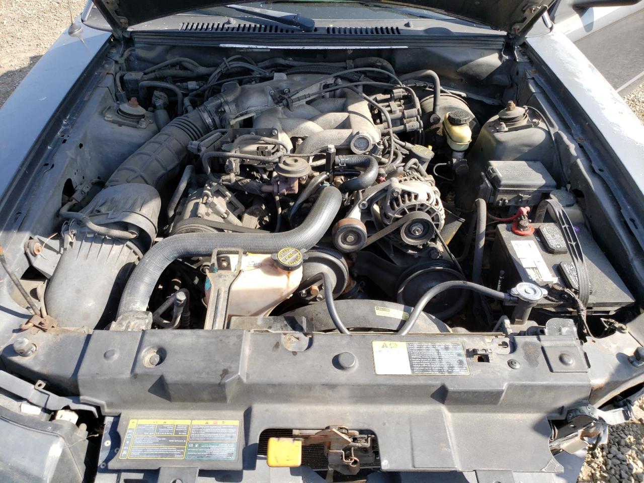 Photo 7 from auction – 2004 FORD MUSTANG with VIN 1FAFP44624F199816