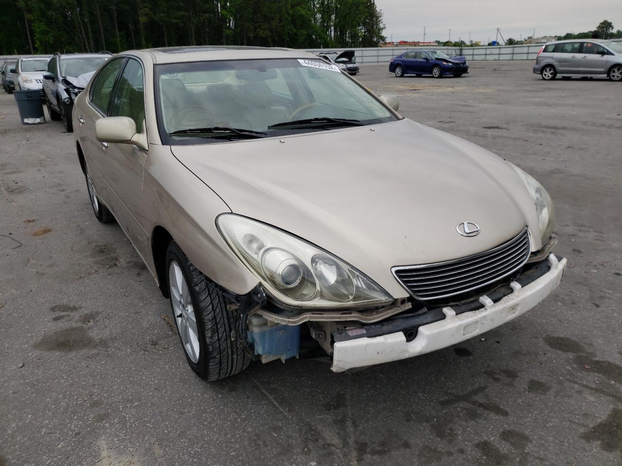 LEXUS ES 330 2005 with VIN JTHBA30G455091626 - Photo from auction