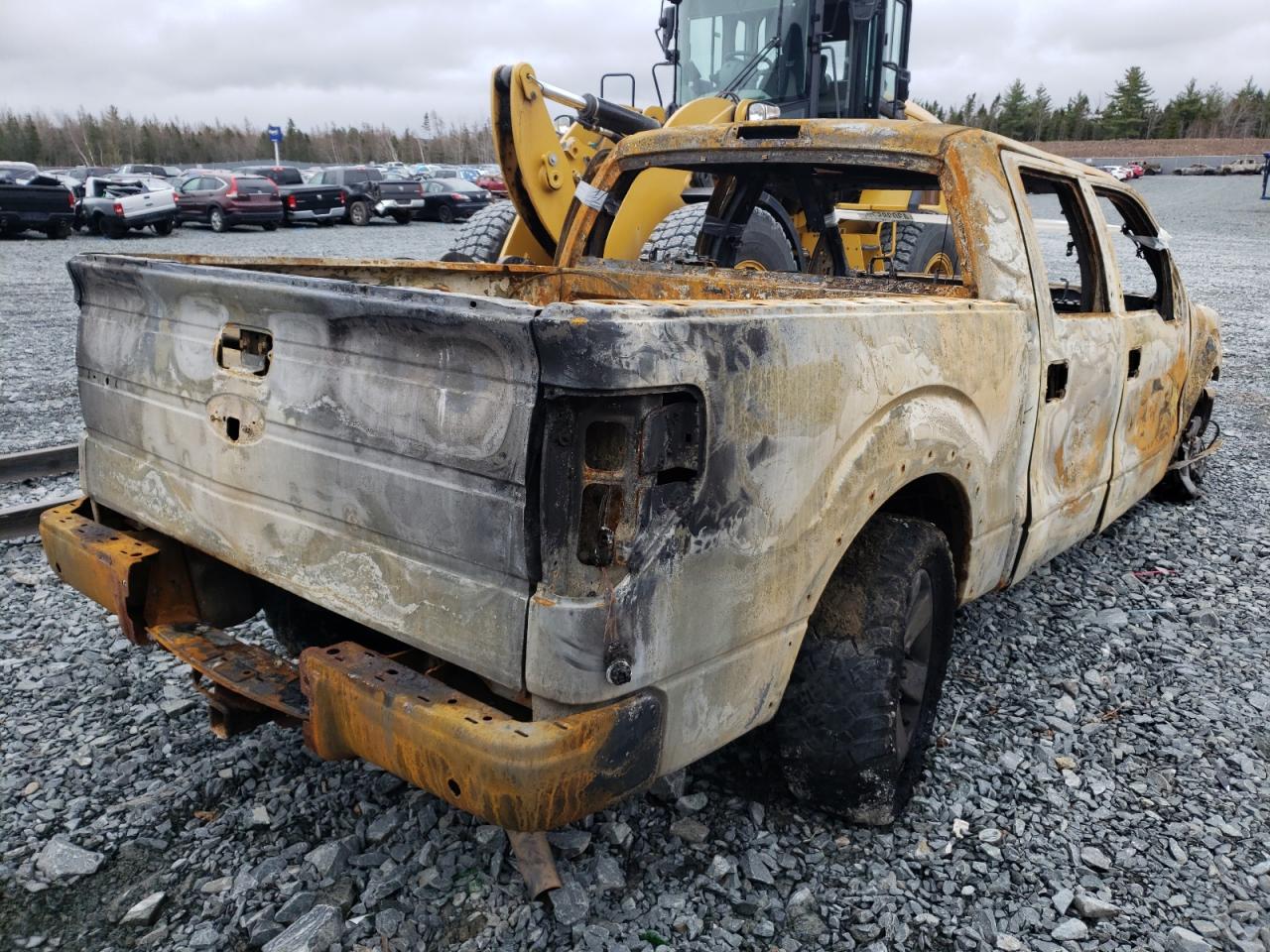 Photo 4 from auction – 2014 FORD F150 SUPER with VIN 1FTFW1EFXEFA33734