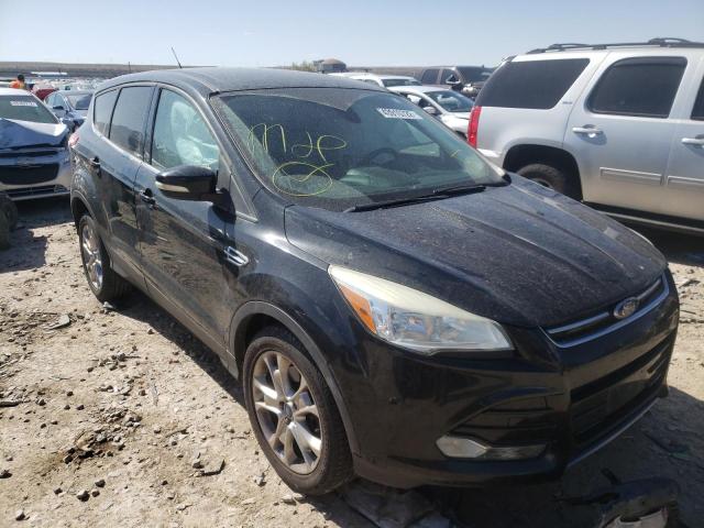 FORD ESCAPE SEL 2013 with VIN 1FMCU0H99DUC79446 - Photo from auction