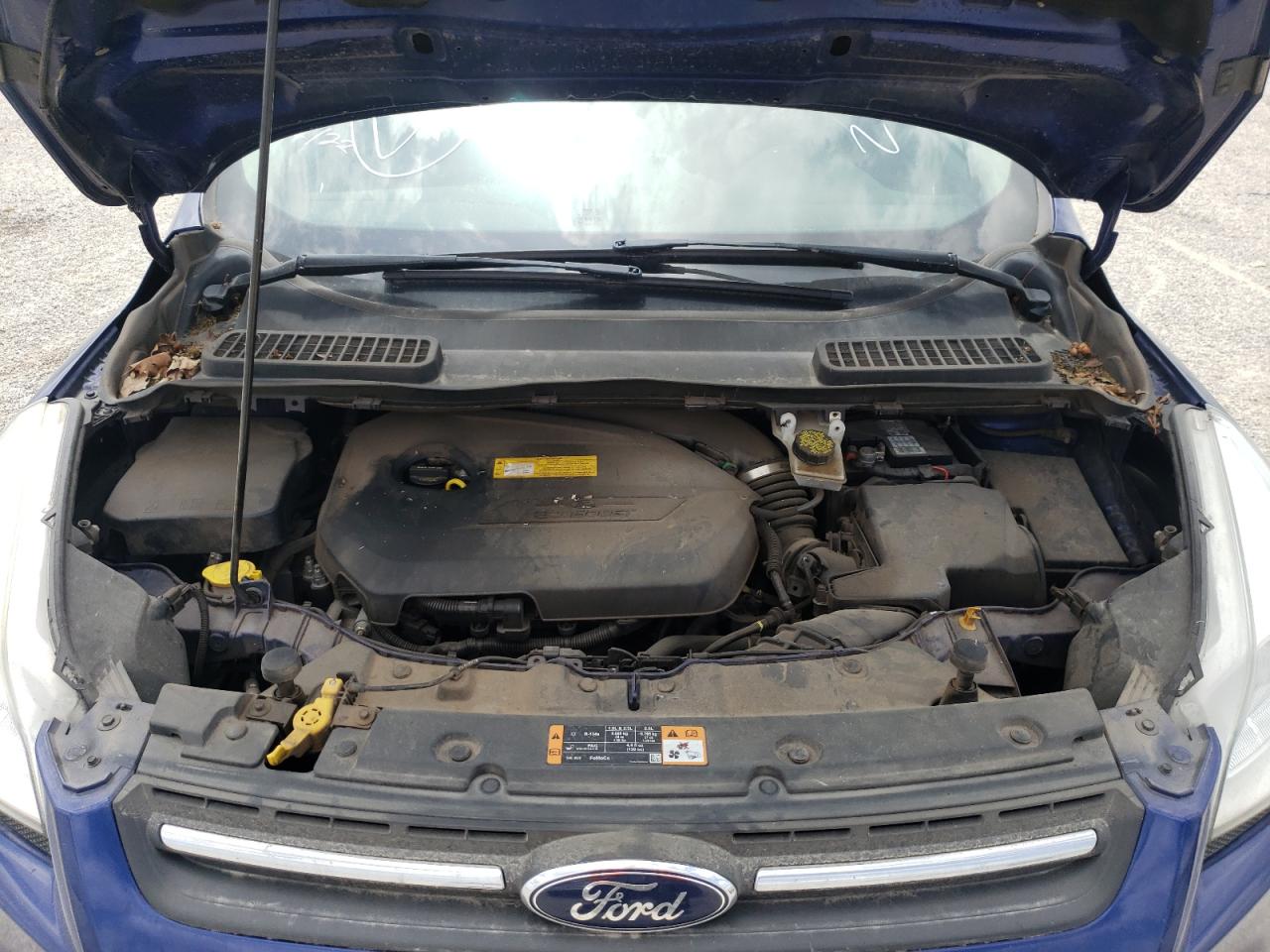 Photo 7 from auction – 2016 FORD ESCAPE SE with VIN 1FMCU0GX1GUC08908