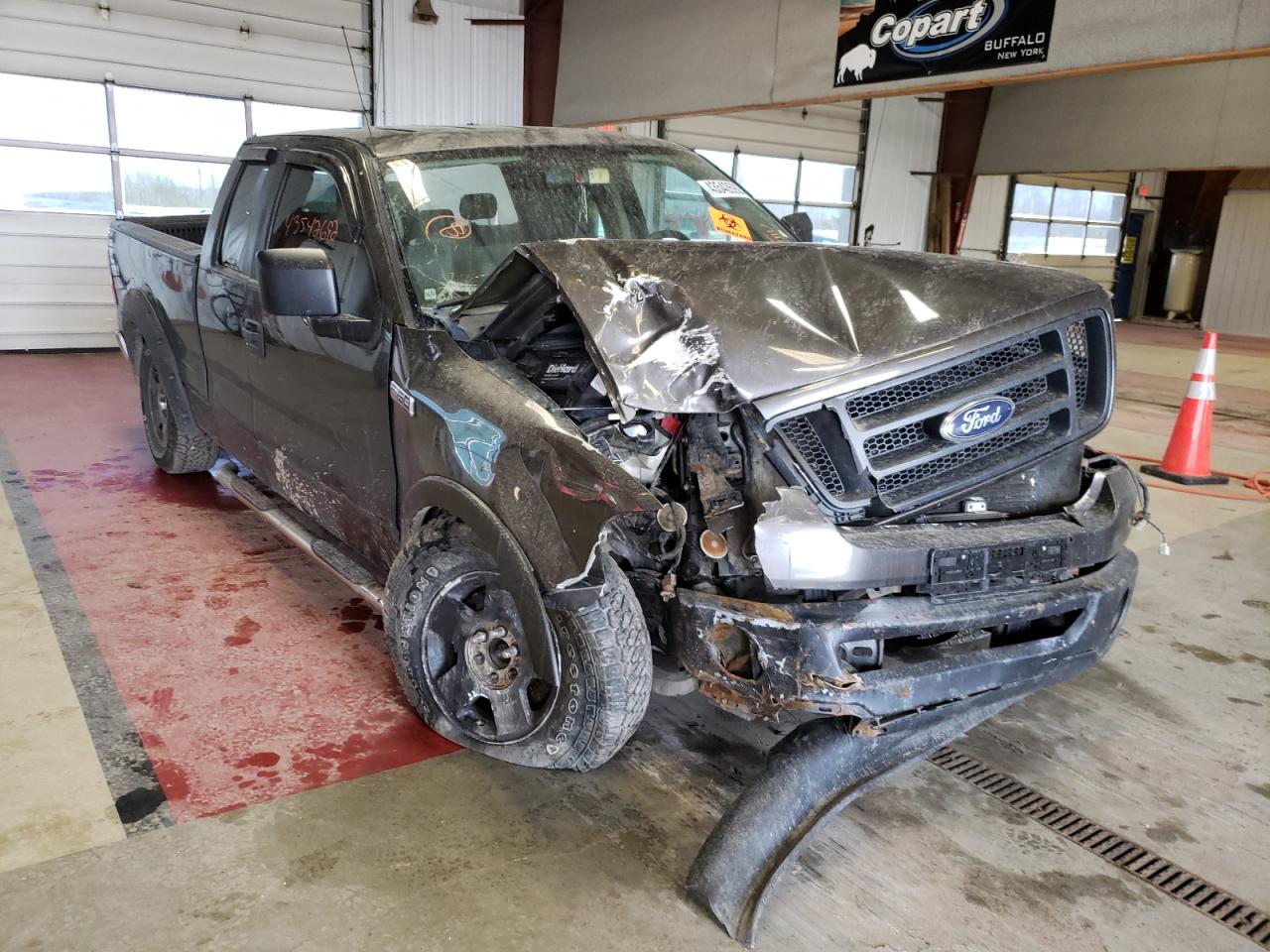 FORD F150 2006 with VIN 1FTRX12W46FA24737 - Photo from auction