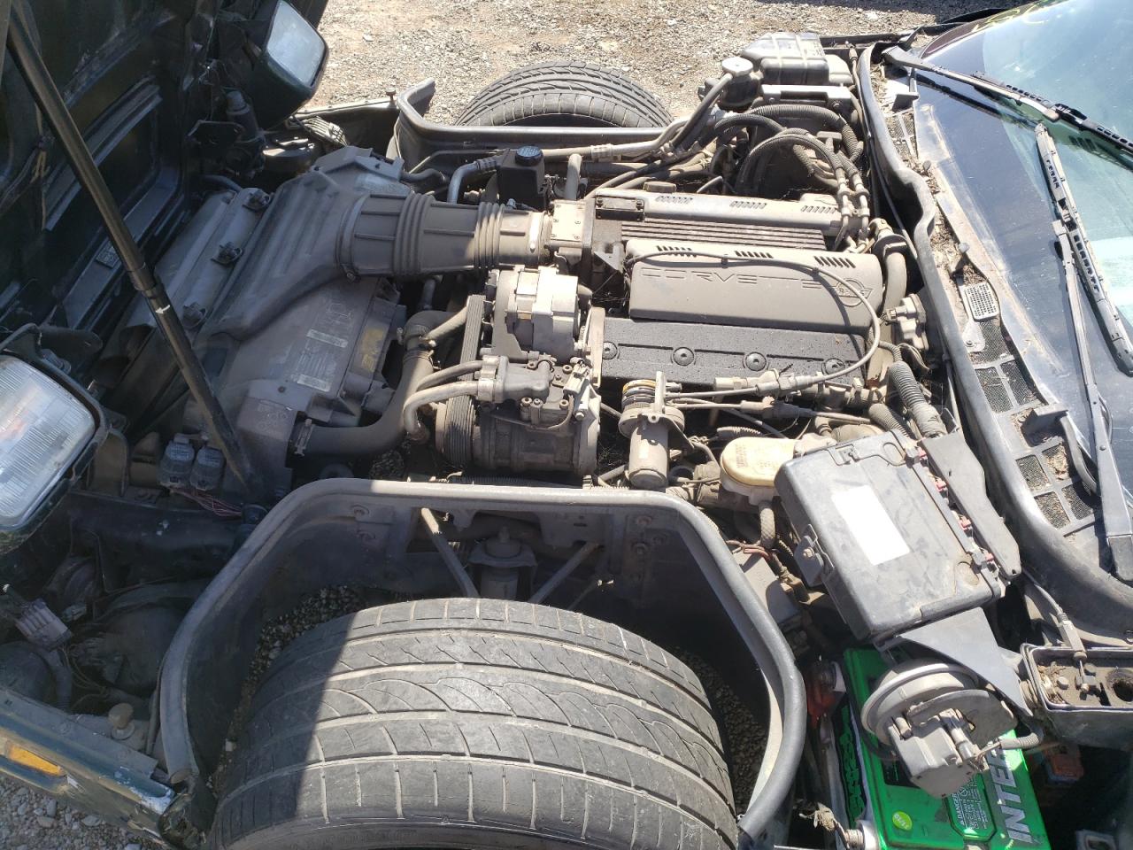 Photo 7 from auction – 1993 CHEVROLET CORVETTE with VIN 1G1YY23P2P5101692