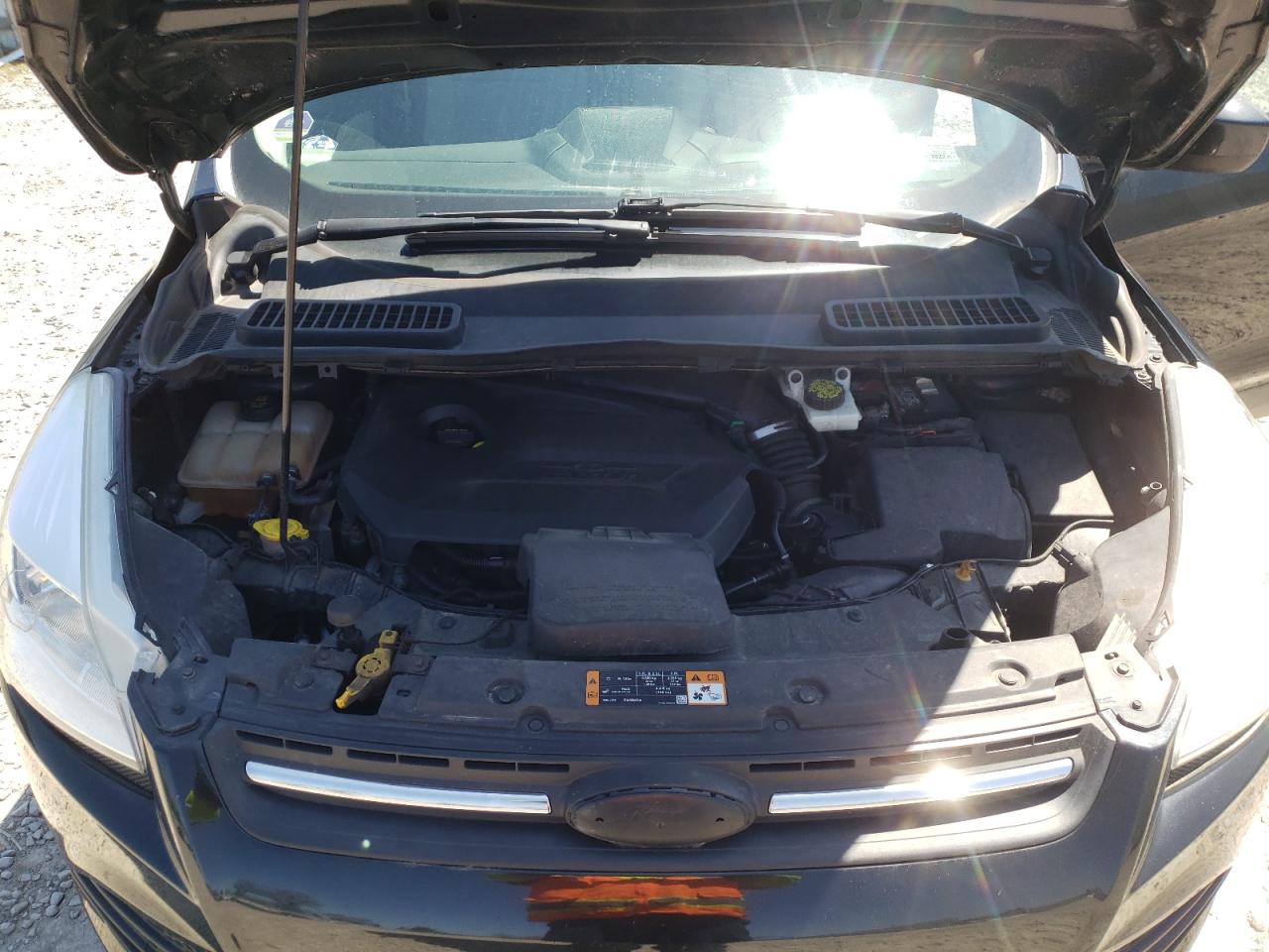 Photo 7 from auction – 2014 FORD ESCAPE SE with VIN 1FMCU0GX7EUD44828