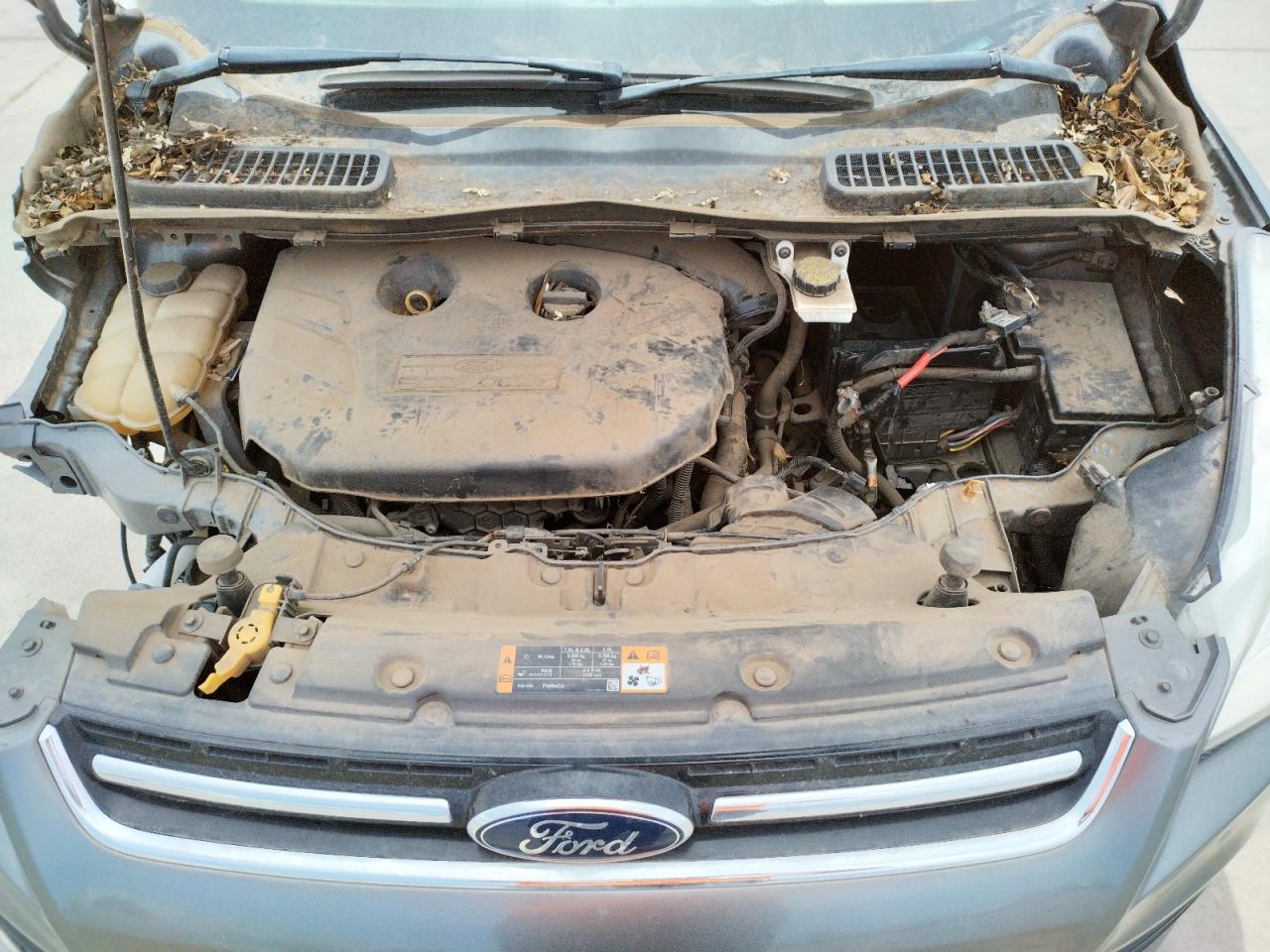 Photo 7 from auction – 2014 FORD ESCAPE TIT with VIN 1FMCU0J92EUB01728