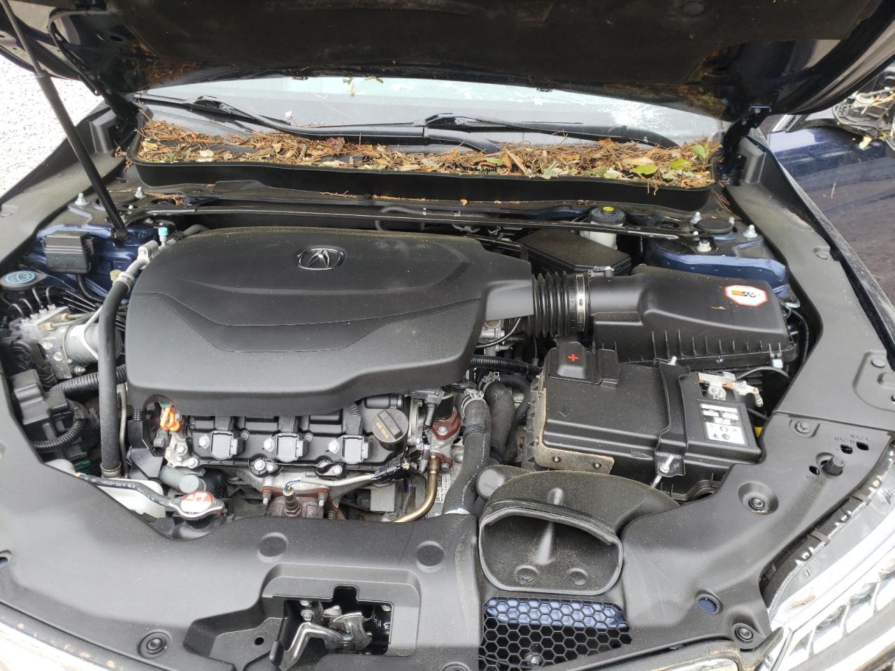 Photo 7 from auction – 2015 ACURA TLX ADVANC with VIN 19UUB3F70FA007181