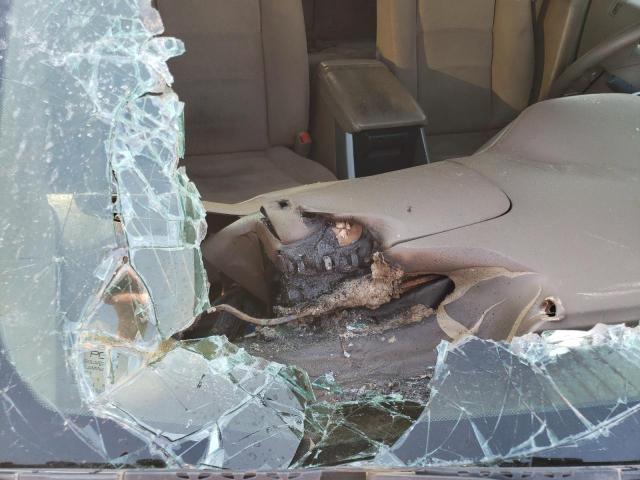 صورة رقم 7 من المزاد - 2006 HONDA PILOT EX مع VIN 5FNYF28466B043241