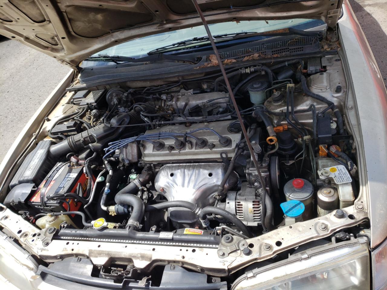 Photo 7 from auction – 1995 HONDA ACCORD EX with VIN JHMCD5659SC009698
