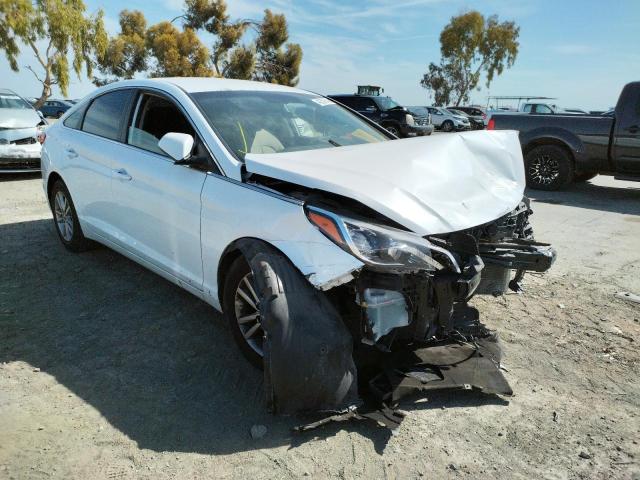 HYUNDAI SONATA SE 2017 with VIN 5NPE24AF3HH528494 - Photo from auction