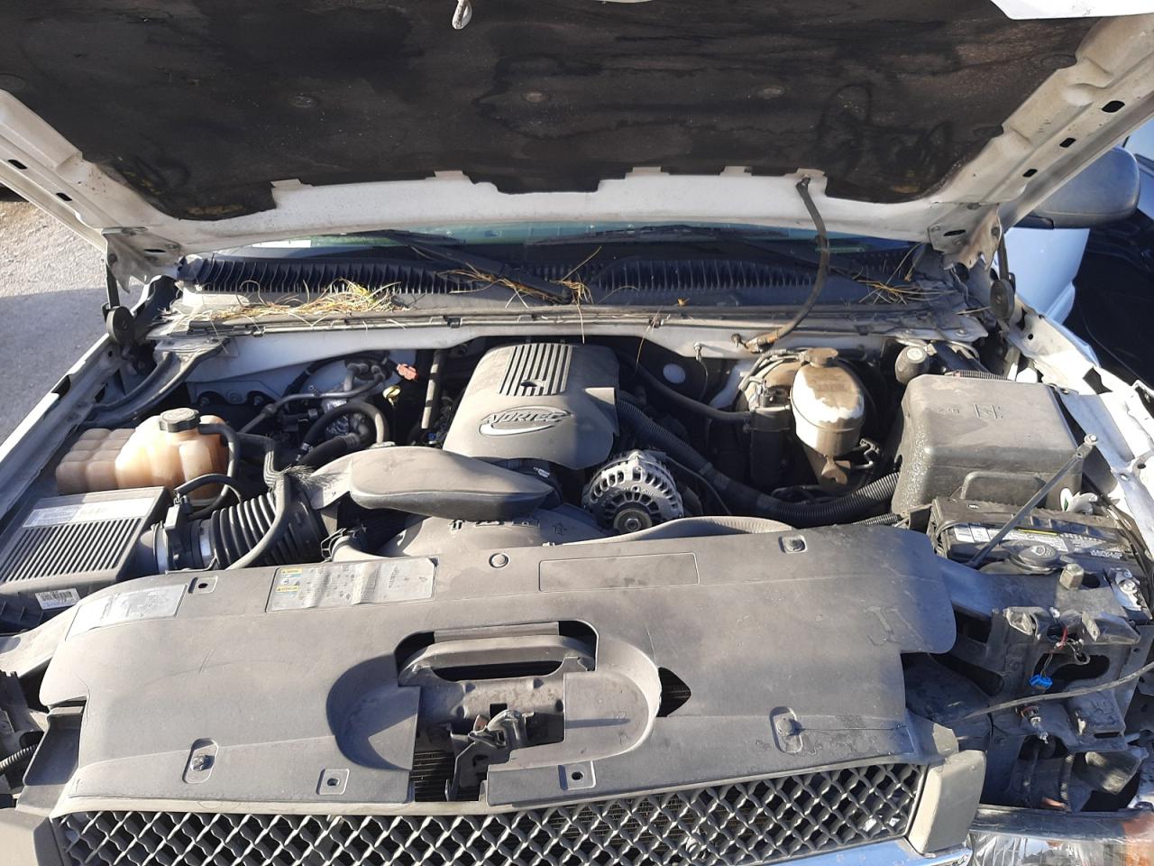 Photo 7 from auction – 2003 CHEVROLET silverado with VIN 2GCEC19T431139833