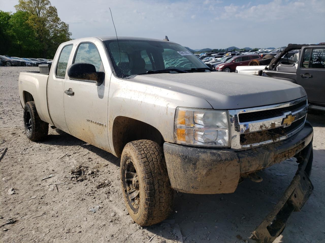 CHEVROLET SILVERADO 2009 with VIN 1GCEK19C19Z159539 - Photo from auction