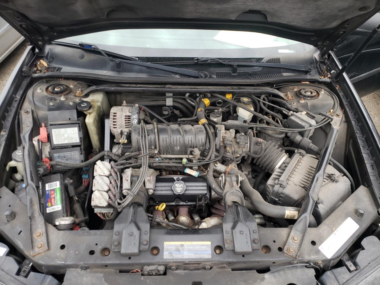 Photo 17 from auction – 2003 CHEVROLET IMPALA LS with VIN 2G1WH55K339401376